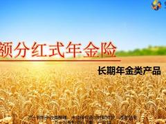 恒安标准恒爱睿赢恒爱年年尊享版产品五要素特色案例18页.pptx
