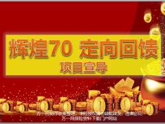 定向回馈项目介绍原理运作国寿版62页.pptx