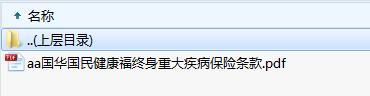 国华国民健康福终身重大疾病保险条款.zip