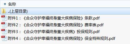 合众守护幸福终身重大疾病保险条款费率投保保全规则.zip
