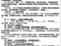 一张纸讲合众壹号尊享版建议书1页.pptx