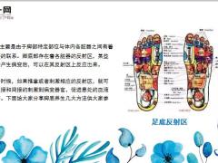 每日健康养生精华全在脚健脑养脏腑调未病12页.ppt