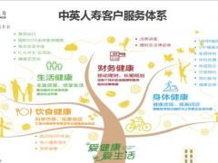 中英健康服务体系背景意义分级标准12页.pptx