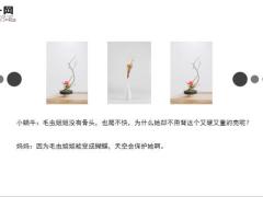 每日正能量小小蜗牛靠自己7页.ppt