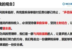 新华批量客户经营突破多倍保销售22页.pptx