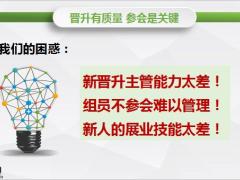 新华晋升新时代2晋升有质量参会是关键17页.pptx