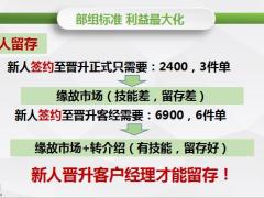 新华晋升新时代3部组标准利益最大化17页.pptx