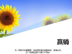 寿险营销魅力及专业化销售流程33页.pptx