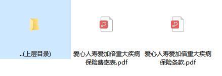 爱心人寿爱加倍重大疾病保险条款费率.zip