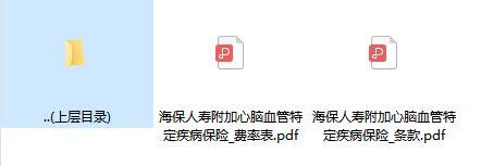 海保人寿附加心脑血管特定疾病保险条款费率.zip