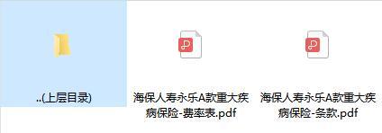 海保人寿永乐A款重大疾病保险条款费率.zip