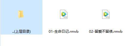 2019版签约班优化2保险意义视频生命日记和留爱不留债.rar