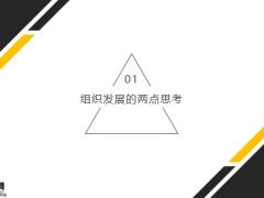 浅谈2019组织发展会议感受31页.pptx