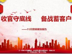 11月营销规划报告25页.pptx