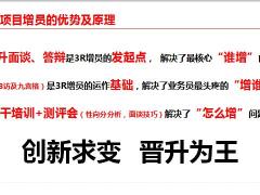 2020开门红路演队伍新增项目介绍17页.pptx