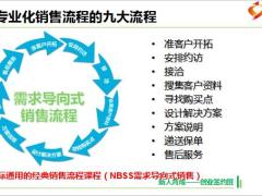 2019版签约班优化6专业化销售流程概述含备注31页.pptx