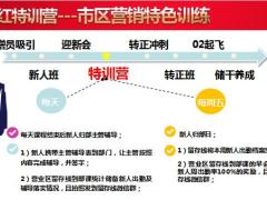 2020年开门红训练经营专项支持三不成才三项曲区隔四大支持35页.pptx
