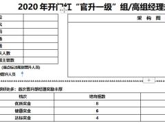 2020年开门红官升一级组经理高级组经理规划面谈表B版2页.docx