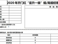 2020年开门红官升一级组经理高级组经理规划面谈表C版2页.docx