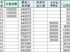 国寿鑫享至尊自动版计划书1页.xlsx