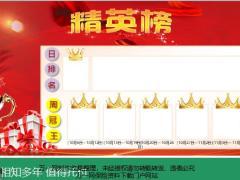 职场布置荣誉榜精英榜国寿版2页.pptx