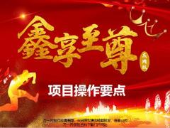 项目操作要点项目建库连打回收追踪20页.pptx