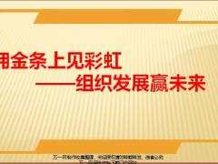 国寿基本法上见彩虹组织发展赢未来17页.pptx