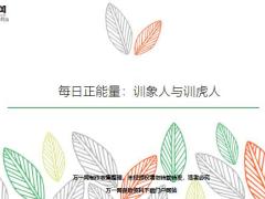 每日正能量训象人与训虎人5页.ppt