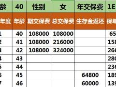 中国人寿鑫享至尊计划书4页.xlsx