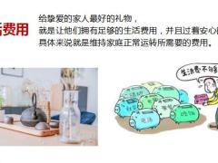 国寿职涯规划决定人生规划25页.pptx