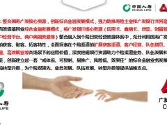 综合金融开启国寿三薪时代资源支持52页.pptx