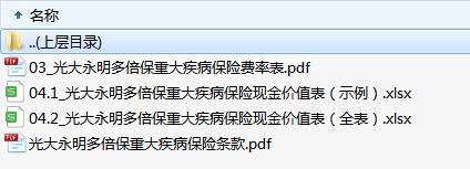 光大永明多倍保重大疾病保险条款费率现金价值.zip