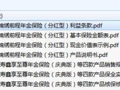国寿锦绣前程年金保险分红型条款费率现金价值投保核保保全.zip