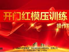 2020开门红模压训练操作指引13页.pptx