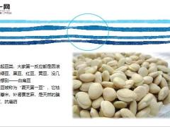 每日健康它是夏天第一豆拔除湿气健脾止泻19页.ppt