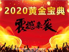 国寿黄金宝典背景内容详细介绍操作指南30页.pptx
