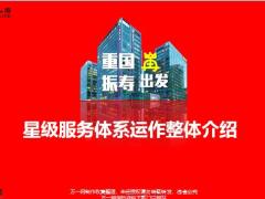 国寿星级服务体系运作整体介绍3页.pptx