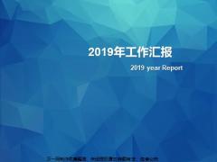 分公司2019年工作总结亮点改进措施2020年工作规划目标分解路径举措22页.pptx