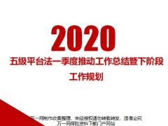 2020五级平台法一季度推动工作总结暨下阶段工作规划48页.pptx