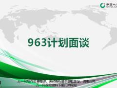 国寿963计划面谈思路实施流程13页.pptx