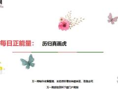 每日正能量历归真画虎5页.ppt