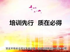 2019年培训工作回顾及反思同业及监管调研分析2020年工作规划阶段重点工作95页.pptx