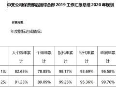 中支公司保费部后援综合部2019工作汇报总结2020年规划2页.docx
