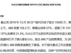 中支公司银代团险部2019年工作汇报总结2020年目标2页.docx