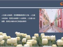每日鸡汤努力不一定成功不努力一定不成功.zip