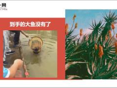 每日快乐早会19年10月29日使用12页.ppt