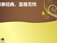 国寿鑫享经典保险亮点卖点25页.pptx