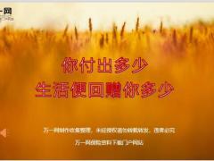 每日鸡汤你付出多少生活便回赠你多少.zip