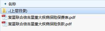 复星联合倍吉星重大疾病保险条款费率.zip