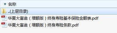 华夏大富翁增额版终身寿险条款费率.zip